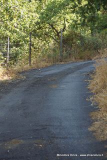 Pineta di Graniti